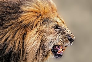 Unleash the Beast: Better Performance with Structural Courage